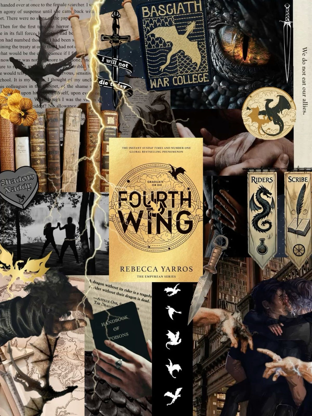 Fourth Wing Mystery Set